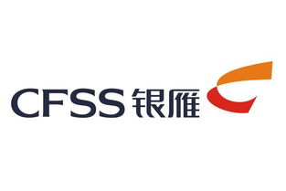 金融外包服務(wù) 看準(zhǔn)網(wǎng)上的機遇與風(fēng)險分析